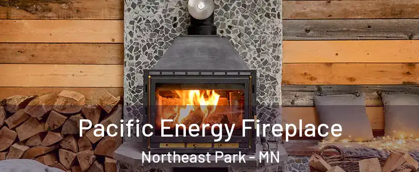 Pacific Energy Fireplace Northeast Park - MN