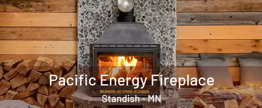 Pacific Energy Fireplace Standish - MN