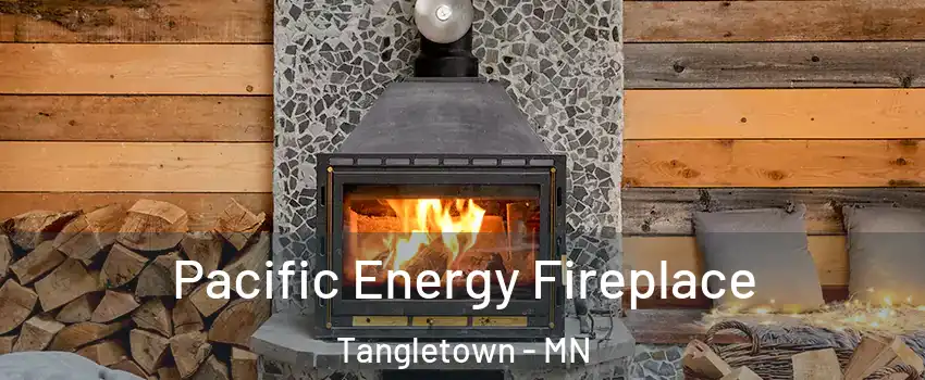 Pacific Energy Fireplace Tangletown - MN