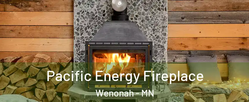 Pacific Energy Fireplace Wenonah - MN