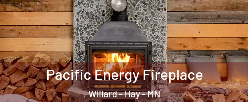 Pacific Energy Fireplace Willard - Hay - MN