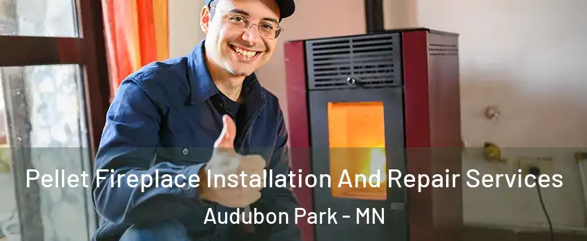 Pellet Fireplace Installation And Repair Services Audubon Park - MN