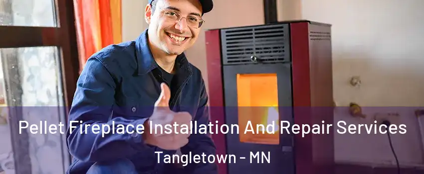 Pellet Fireplace Installation And Repair Services Tangletown - MN