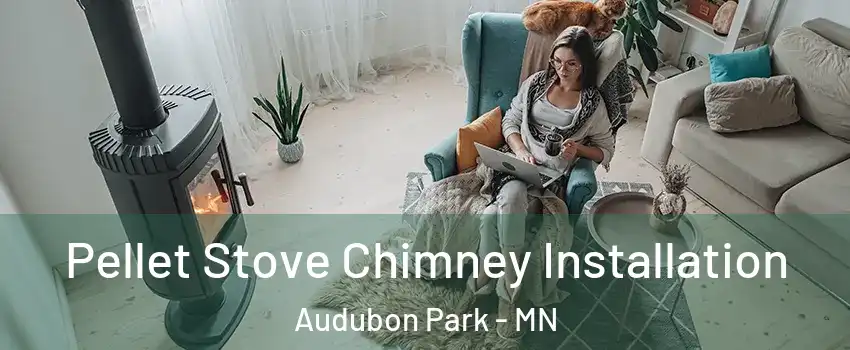 Pellet Stove Chimney Installation Audubon Park - MN