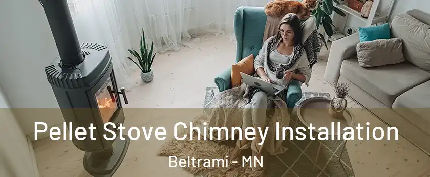 Pellet Stove Chimney Installation Beltrami - MN