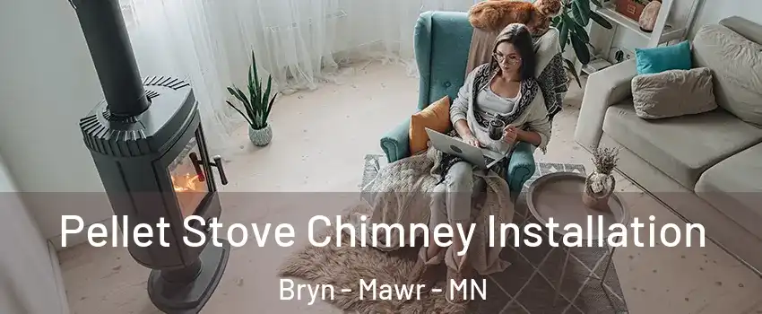 Pellet Stove Chimney Installation Bryn - Mawr - MN