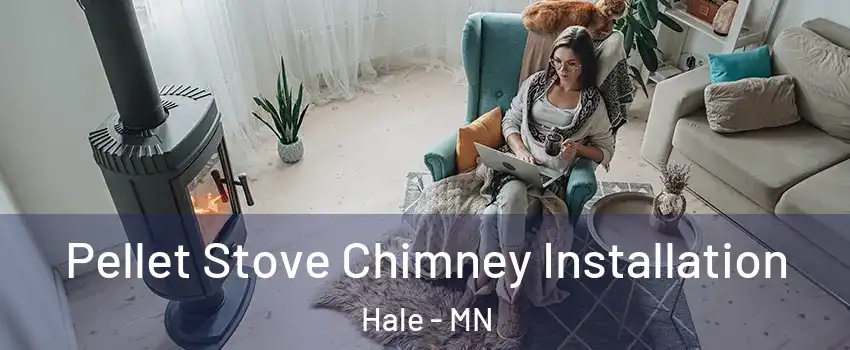 Pellet Stove Chimney Installation Hale - MN