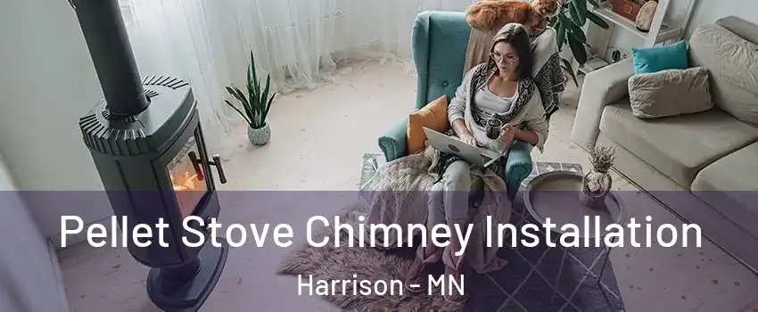 Pellet Stove Chimney Installation Harrison - MN