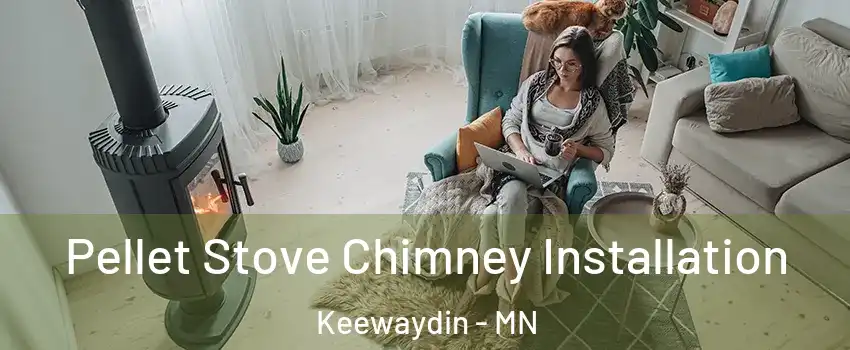 Pellet Stove Chimney Installation Keewaydin - MN