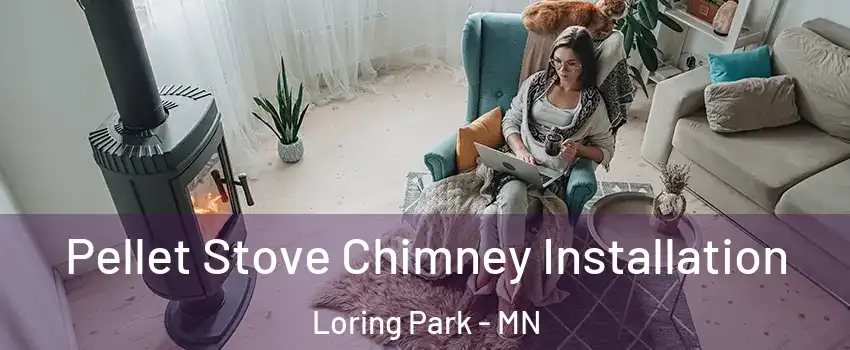 Pellet Stove Chimney Installation Loring Park - MN