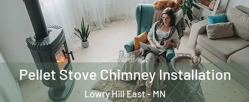 Pellet Stove Chimney Installation Lowry Hill East - MN