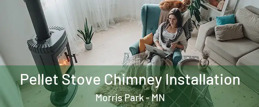 Pellet Stove Chimney Installation Morris Park - MN