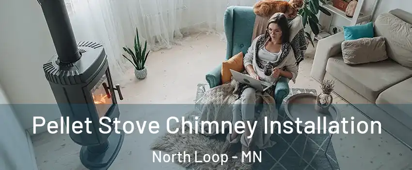 Pellet Stove Chimney Installation North Loop - MN