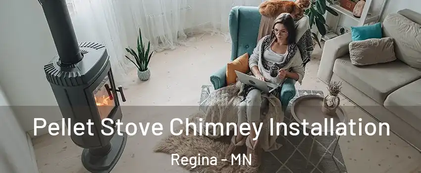 Pellet Stove Chimney Installation Regina - MN