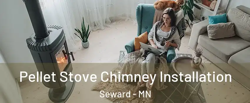 Pellet Stove Chimney Installation Seward - MN