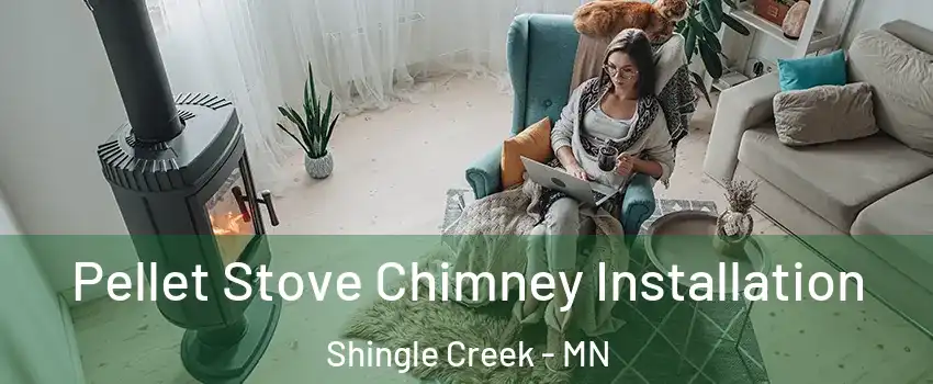 Pellet Stove Chimney Installation Shingle Creek - MN