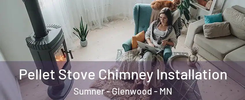 Pellet Stove Chimney Installation Sumner - Glenwood - MN