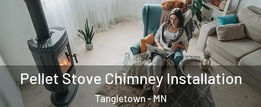 Pellet Stove Chimney Installation Tangletown - MN