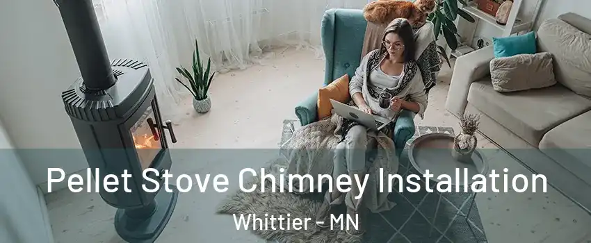 Pellet Stove Chimney Installation Whittier - MN
