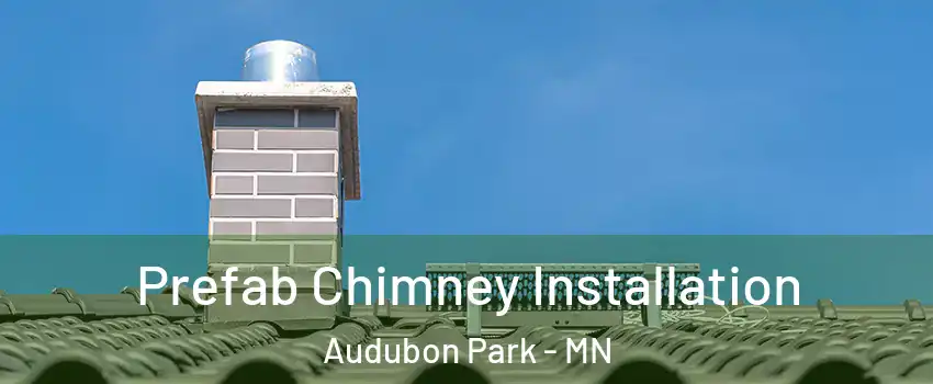 Prefab Chimney Installation Audubon Park - MN