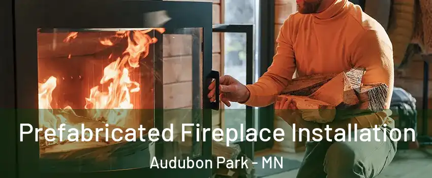 Prefabricated Fireplace Installation Audubon Park - MN