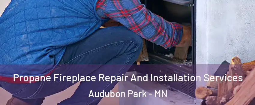 Propane Fireplace Repair And Installation Services Audubon Park - MN