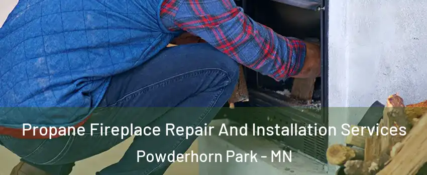 Propane Fireplace Repair And Installation Services Powderhorn Park - MN