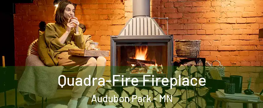 Quadra-Fire Fireplace Audubon Park - MN