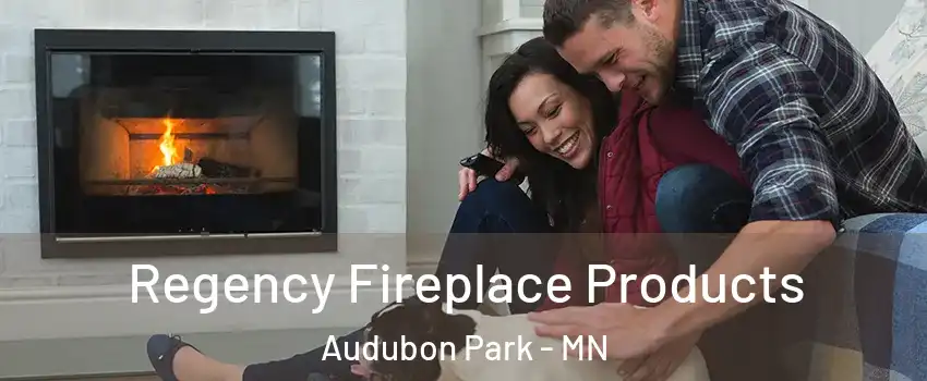 Regency Fireplace Products Audubon Park - MN