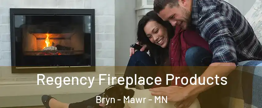 Regency Fireplace Products Bryn - Mawr - MN