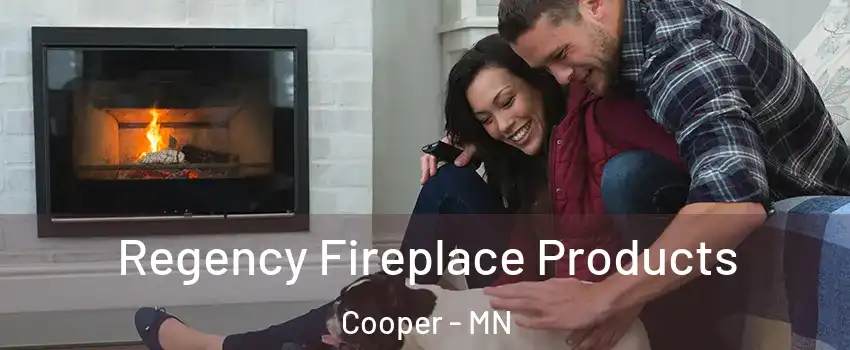 Regency Fireplace Products Cooper - MN
