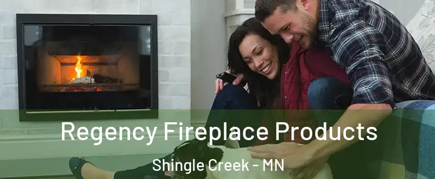 Regency Fireplace Products Shingle Creek - MN