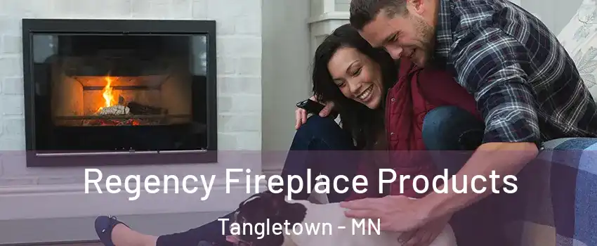 Regency Fireplace Products Tangletown - MN