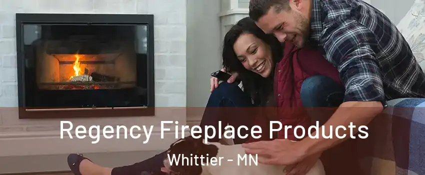 Regency Fireplace Products Whittier - MN