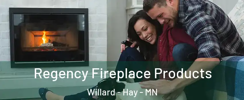 Regency Fireplace Products Willard - Hay - MN