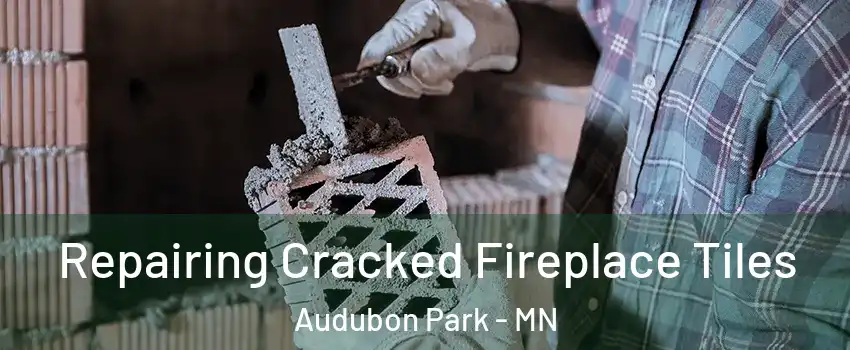 Repairing Cracked Fireplace Tiles Audubon Park - MN