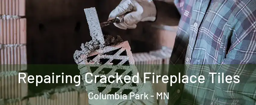 Repairing Cracked Fireplace Tiles Columbia Park - MN
