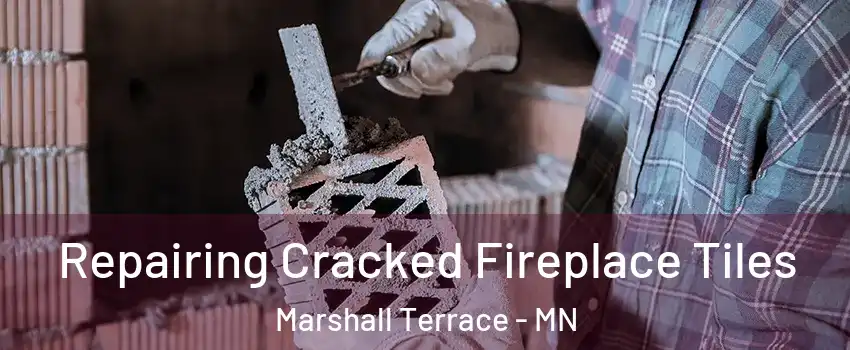 Repairing Cracked Fireplace Tiles Marshall Terrace - MN