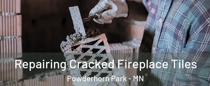 Repairing Cracked Fireplace Tiles Powderhorn Park - MN