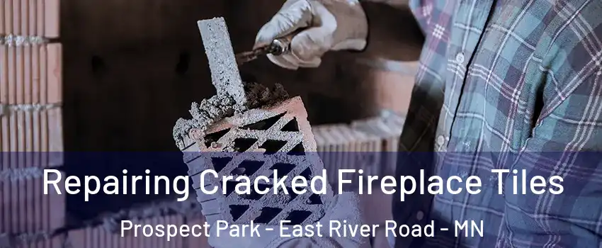 Repairing Cracked Fireplace Tiles Prospect Park - East River Road - MN