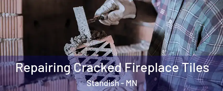 Repairing Cracked Fireplace Tiles Standish - MN