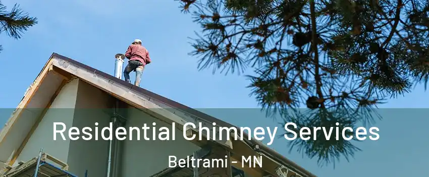 Residential Chimney Services Beltrami - MN