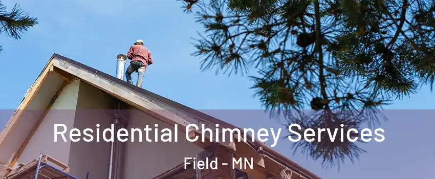 Residential Chimney Services Field - MN
