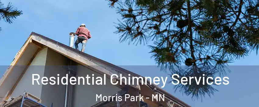 Residential Chimney Services Morris Park - MN