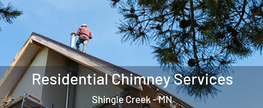 Residential Chimney Services Shingle Creek - MN
