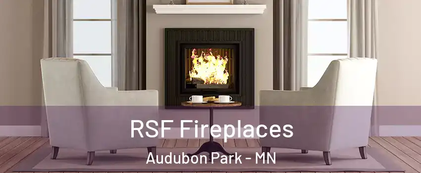 RSF Fireplaces Audubon Park - MN