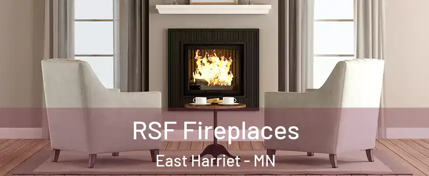 RSF Fireplaces East Harriet - MN