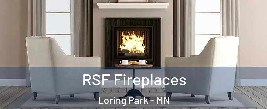 RSF Fireplaces Loring Park - MN