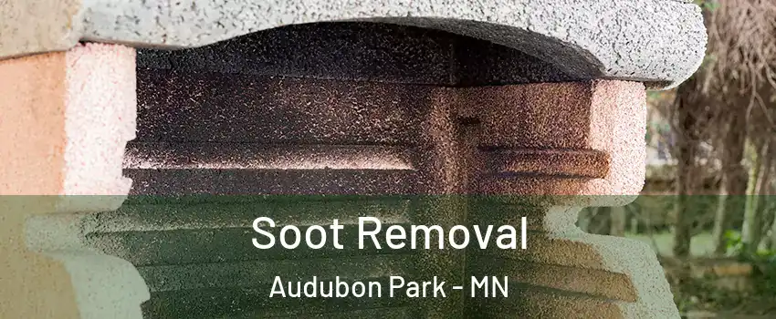 Soot Removal Audubon Park - MN