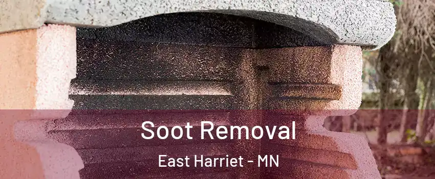 Soot Removal East Harriet - MN